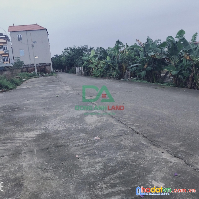 Bán đất đấu giá x5 lương quy xuân nộn đường quy hoạch 25m