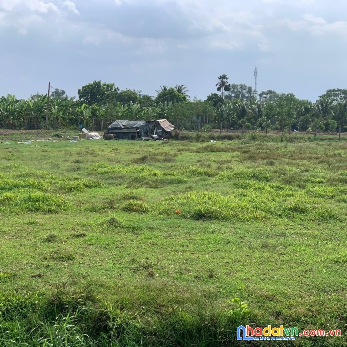 Chính chủ bán gấp lô đất đẹp vị trí đắc địa tại bình chánh