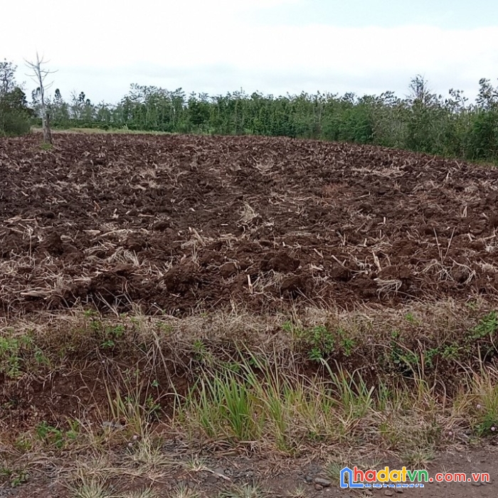 Chính chủ bán gấp lô đất đẹp vị trí đắc địa tại xã ea drông, tx buôn hồ, tỉnh đắk lắk