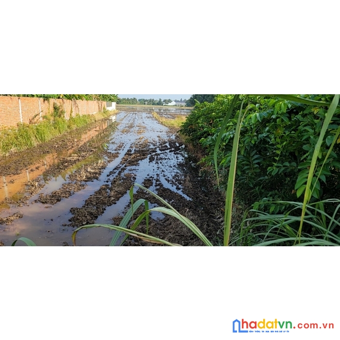 Chính chủ cần bán 2 nền đất đẹp tại  phường vĩnh lợi, tp rạch giá, kiên giang