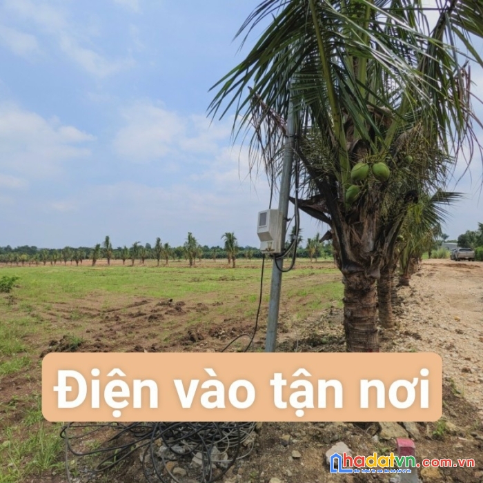 Bán đất vườn cẩm mỹ đã có sẵn thổ cư, giá rẻ, gần ngã tư sông ray