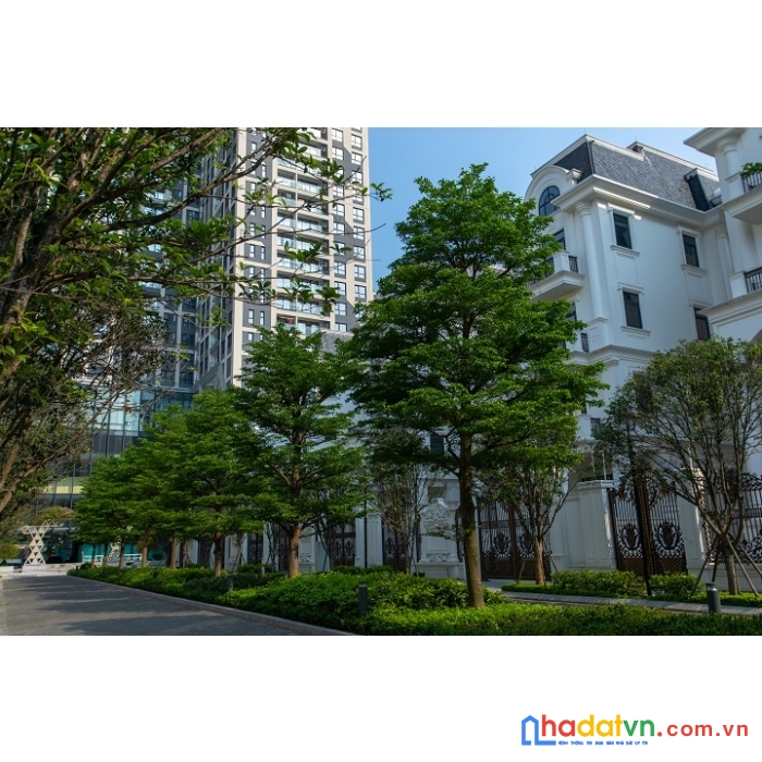 Biệt thự đơn lập ở như resort ngay giữa thủ đô hoa lệ