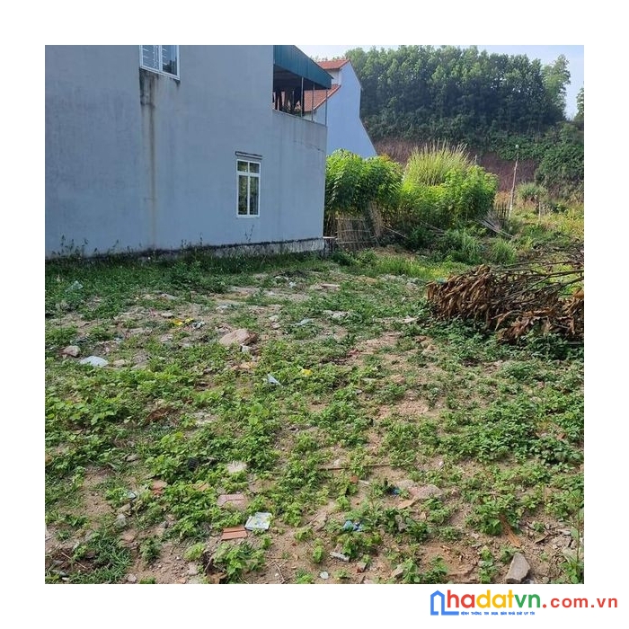 Chính chủ cần bán hoặc cho thuê mảnh đất ở ngay trục đường chính tiên lãng, thị trấn tiên yên,