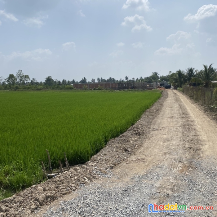 Chính chủ bán nhanh lô đất vị trí đẹp tại  xã mỹ an - huyện mang thít - vĩnh long