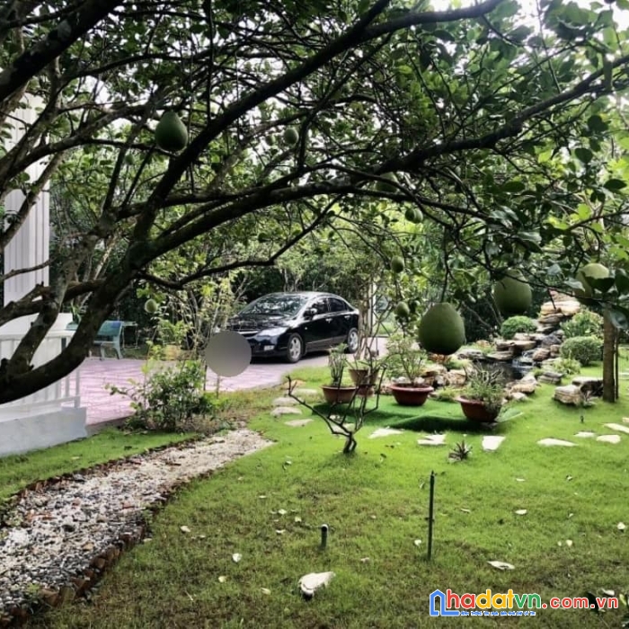 Biệt thự sân vườn siêu đẹp củ chi 590m2 giá 5,5 tỷ