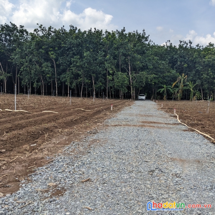 Đất vườn sổ riêng chỉ 4xxtr/sào - đầu tư ngay để hưởng lợi nhuận to