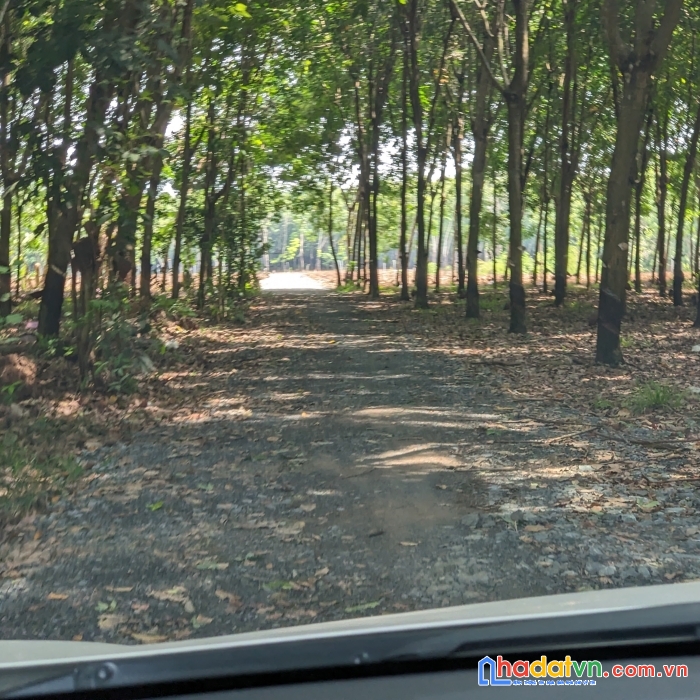 Đất vườn sổ riêng chỉ 4xxtr/sào - đầu tư ngay để hưởng lợi nhuận to