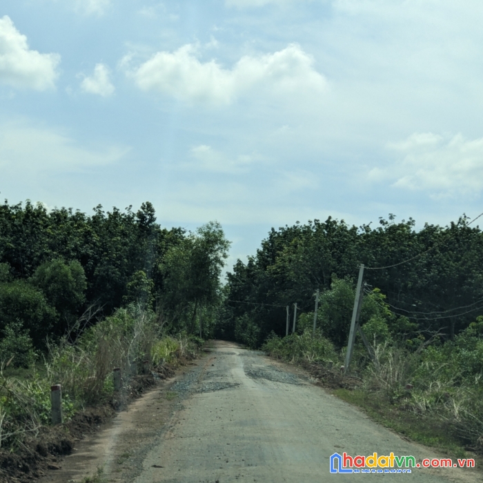 Đất vườn sổ riêng chỉ 4xxtr/sào - đầu tư ngay để hưởng lợi nhuận to