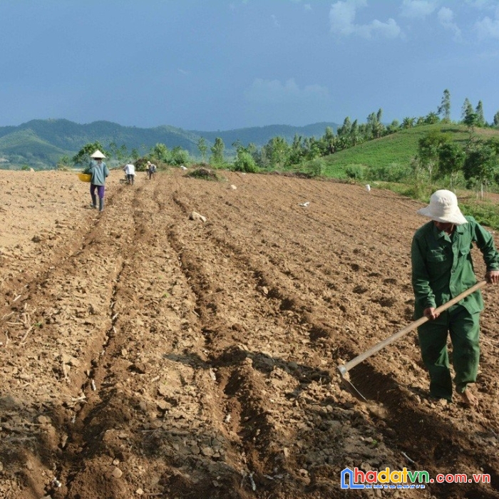Xem là ưng ngay 3330m2 đất vườn - sổ hồng riêng giá rẻ bèo ở tây ninh