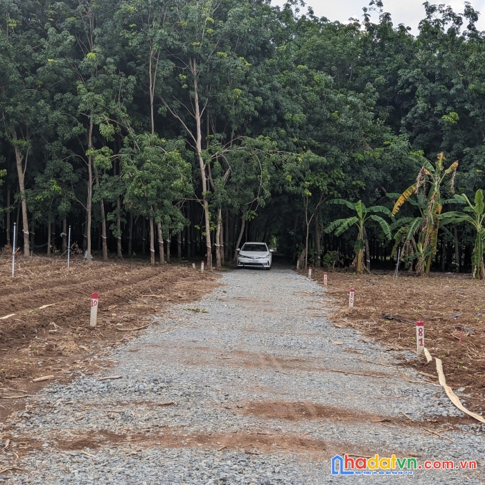 Xem là ưng ngay 3330m2 đất vườn - sổ hồng riêng giá rẻ bèo ở tây ninh