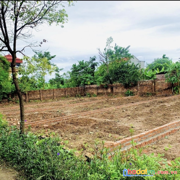 Nhỉnh tỷ tại cộng hoà-phù linh gần sân gold 93m đường 5m ô tô qua lại
