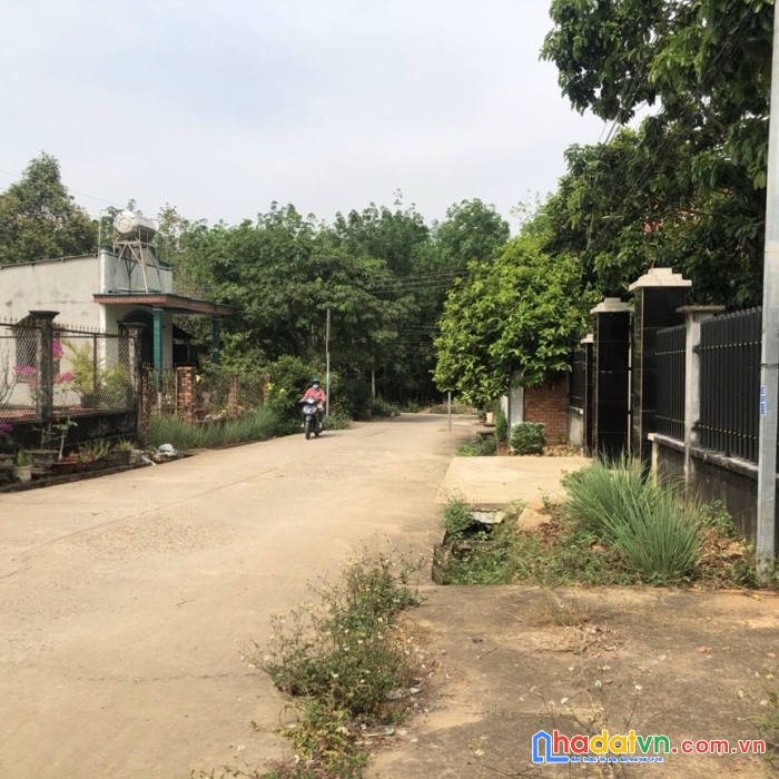 Bán ngộp lô đất khu bàn cờ bàu cạn long thành dt 12x66, 100 tc
