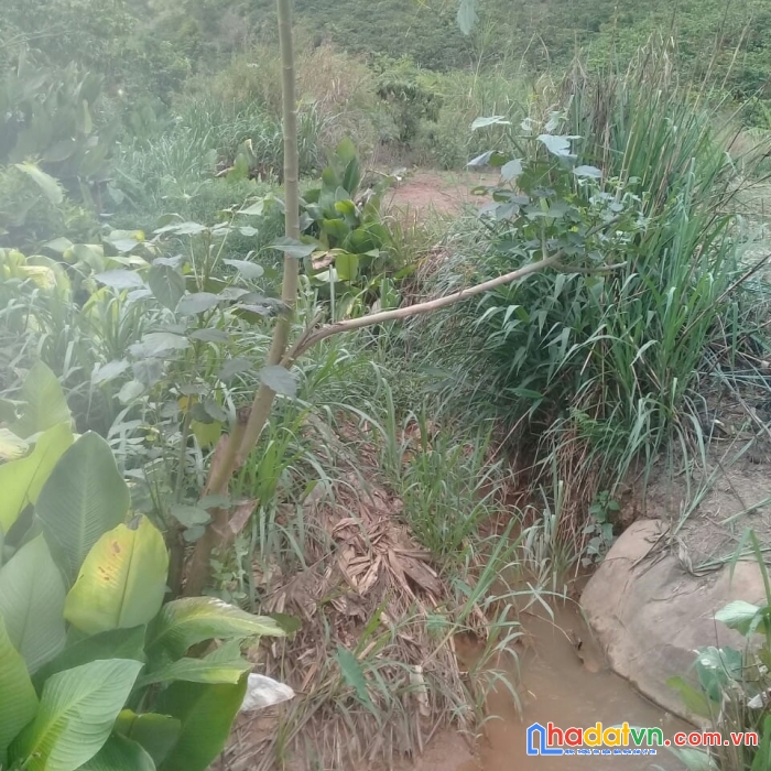 ( gấp quá rồi ) chỉ 2.1 tỷ sở hữu lô đất nghỉ dưỡng ven đà lạt 2123m2