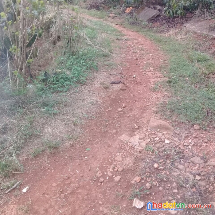 ( gấp quá rồi ) chỉ 2.1 tỷ sở hữu lô đất nghỉ dưỡng ven đà lạt 2123m2