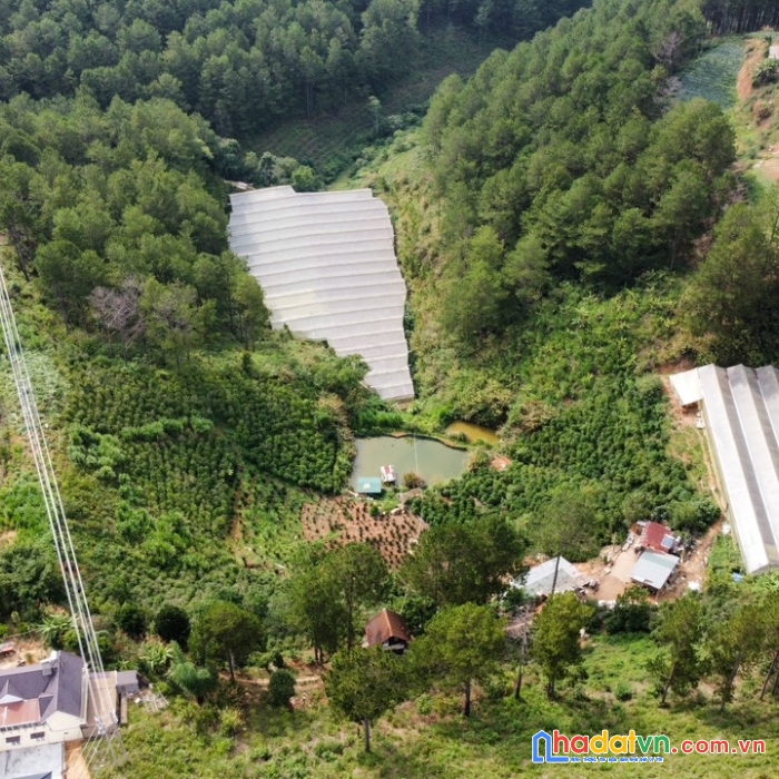 ( đất view đẹp ) cần bán gấp lô đất nghỉ dưỡng ven đà lạt mặt tiền tỉnh lộ 726 đạ nghịt 2.1 ha