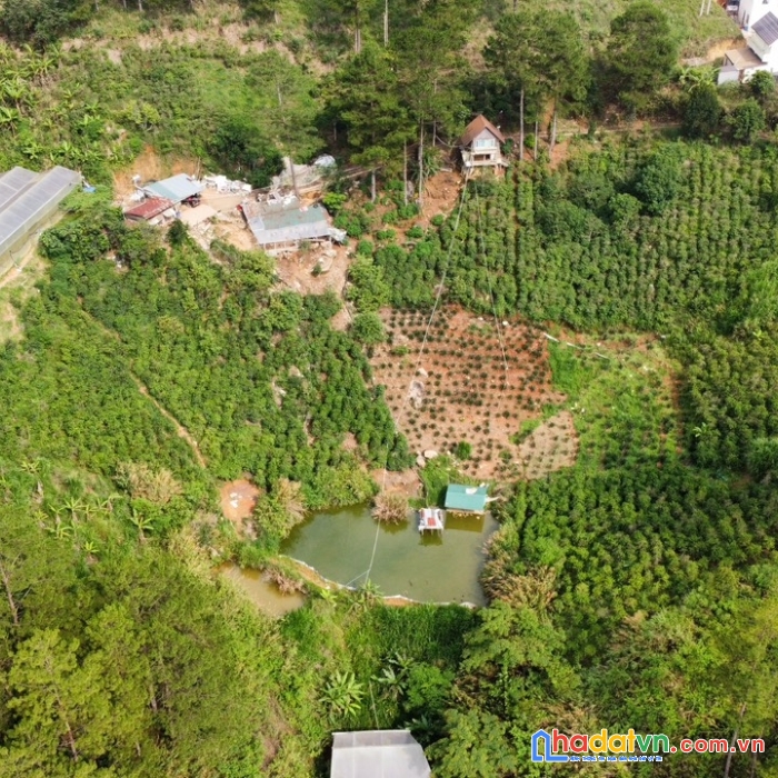 ( đất view đẹp ) cần bán gấp lô đất nghỉ dưỡng ven đà lạt mặt tiền tỉnh lộ 726 đạ nghịt 2.1 ha