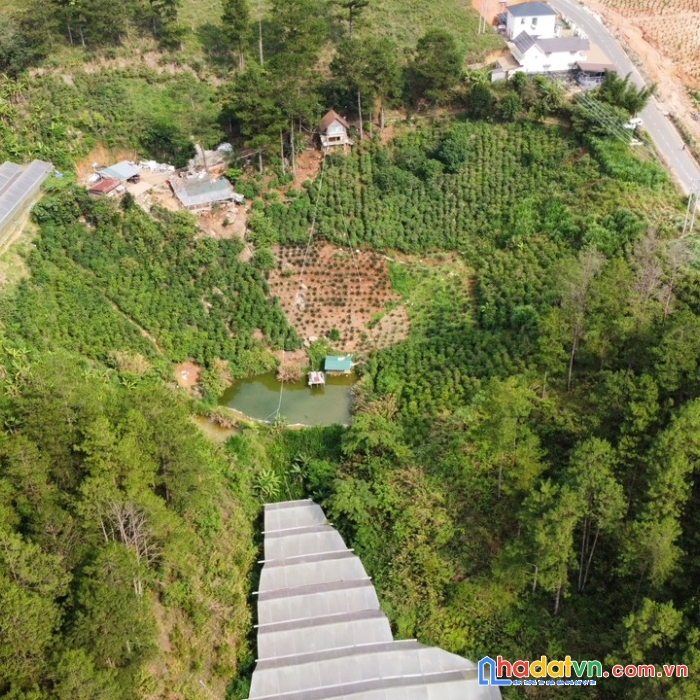 ( đất view đẹp ) cần bán gấp lô đất nghỉ dưỡng ven đà lạt mặt tiền tỉnh lộ 726 đạ nghịt 2.1 ha