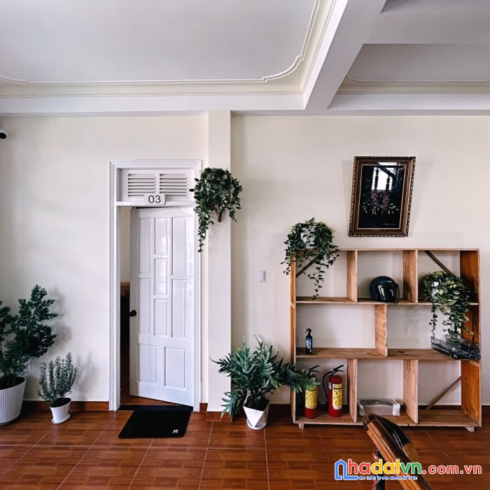 Chính chủ cần cho thuê mặt bằng 244m2 đang kinh doanh homestay có sẵn doanh thu lữ gia, phường 9,