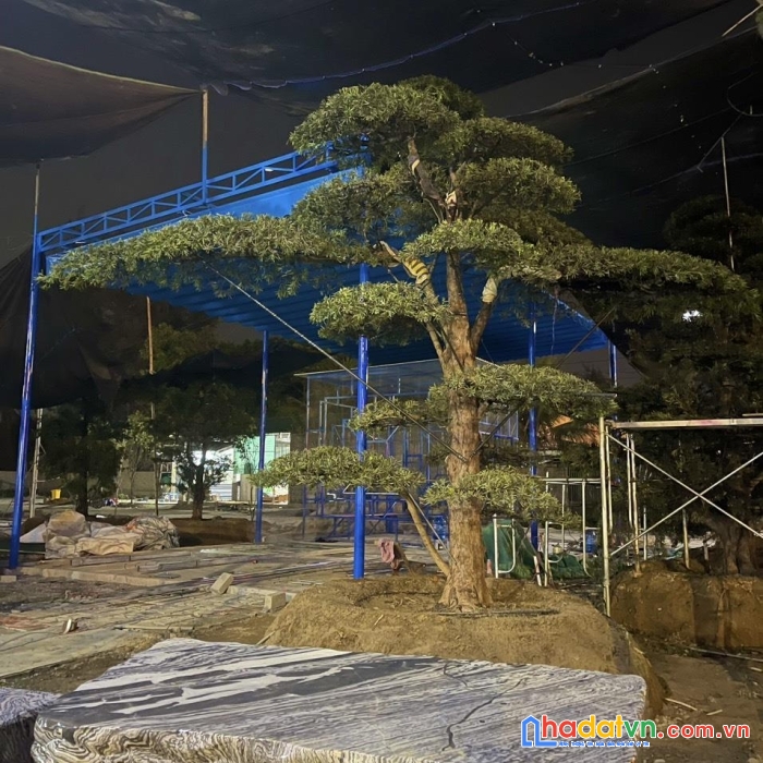 Sở hữu ngay lô đất đẹp tại thị trấn xuân an, huyện nghi xuân, tỉnh hà tĩnh