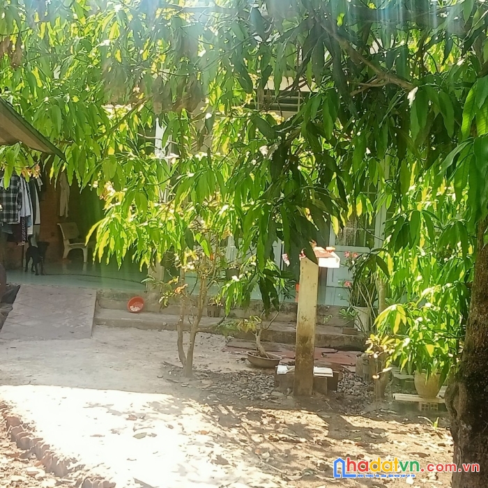 Chính chủ bán nhanh căn nhà mặt tiền đẹp tại xã đạo thạnh, tp mỹ tho, tiền giang