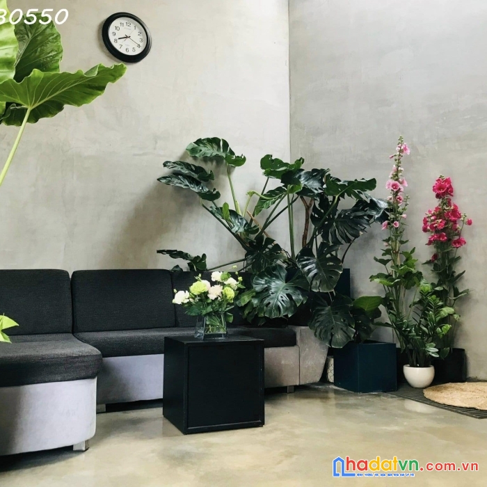 Nhà cách mạng tháng tám, 36m2, chỉ 4 tỷ 890, đẹp độc đáo