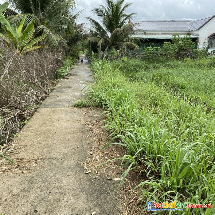 Đất nền xây biệt thự 290m2 – chỉnh 1 tỷ hxh tại p.phú tân tp bến