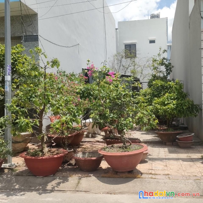 Chính chủ cần bán gấp nền thổ cư vị trí đẹp tại phường 5, tp vị thanh