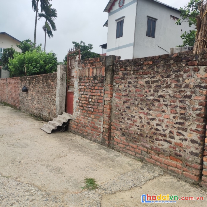 Bán 137m2( có bán nửa) tại bìa làng xuân ấp-tân dân-sóc sơn, sát dự án vành đai 4