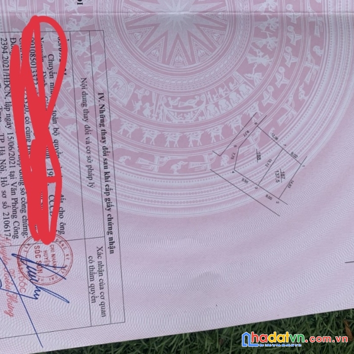 Bán 137m2( có bán nửa) tại bìa làng xuân ấp-tân dân-sóc sơn, sát dự án vành đai 4