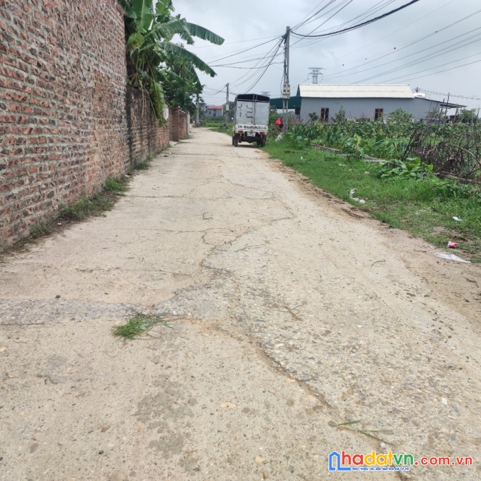Bán 137m2( có bán nửa) tại bìa làng xuân ấp-tân dân-sóc sơn, sát dự án vành đai 4