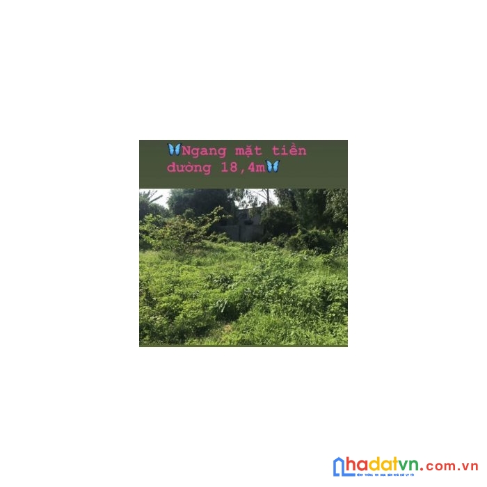Chính chủ cần bán lô đất mặt tiền vị trí đẹp tại thị trấn long hải- bà rịa vũng tàu