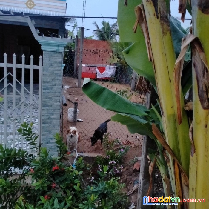 Chính chủ bán gấp lô đất vị trí đẹp tại vĩnh trạch, thoại sơn, an giang - giá cực rẻ