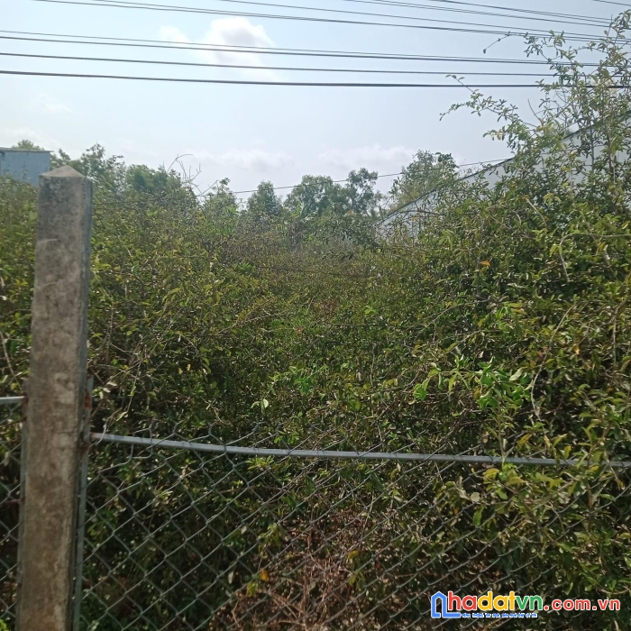 Chính chủ bán gấp lô đất vị trí đẹp tại tp bạc liêu - giá đầu tư