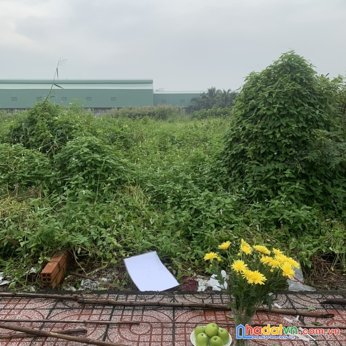 Chính chủ cần bán gấp lô đất thổ cư 93,5m2 chỉ hơn 1 tỷ, đã có sổ