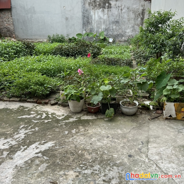 Chính chủ bán đất thổ cư 69.8m tại thôn bắc giã, phú lỗ, sóc sơn, hà nội