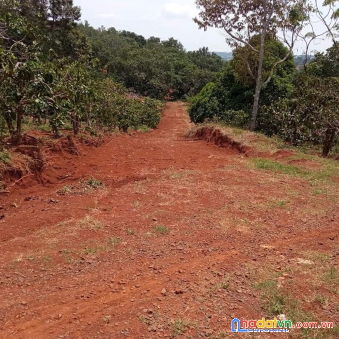 Chính chủ bán đất thổ cư đẹp – giá rẻ - tiềm năng tại gia nghĩa