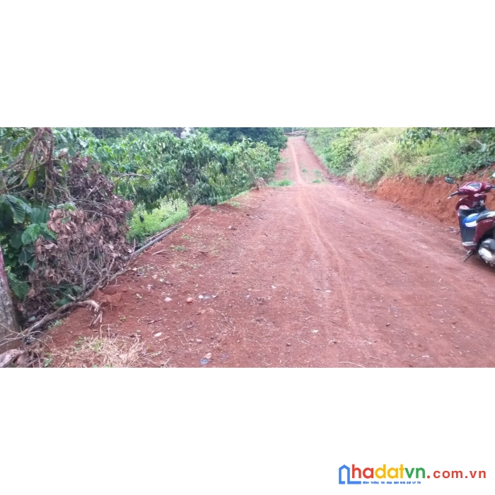 Chính chủ bán đất thổ cư đẹp – giá rẻ - tiềm năng tại gia nghĩa