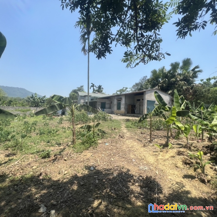 Chính chủ cần bán mảnh đất đẹp gần 700m -có 200 thổ cư tại tú lý- đà bắc-hòa bình