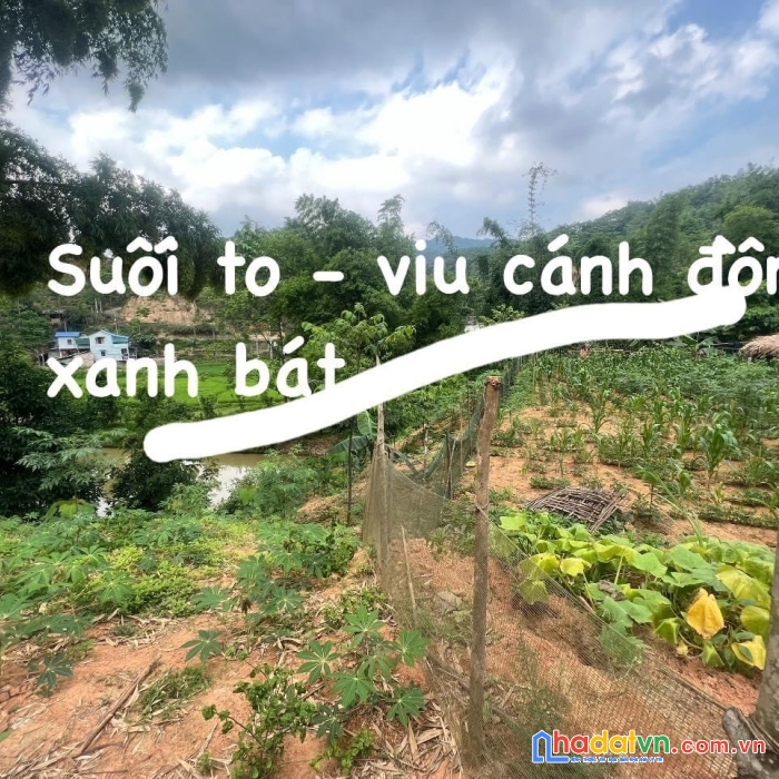 Siêu phẩm nghỉ dưỡng tuyêt vời chỉ 4xxx đà bắc hòa bình