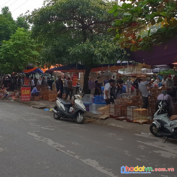 Vừa rẻ vừa đẹp, nhà yên phúc văn quán hà đông, 42m giá chỉ 3.72 tỷ