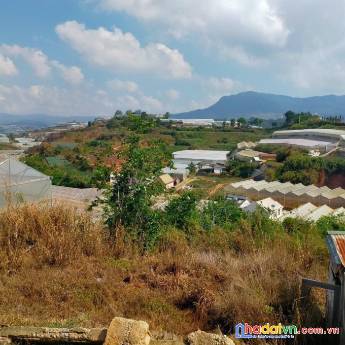 ( loa loa ) bán gấp đất biệt thự rộng view thoáng đường phước thành, đà lạt 965m2 giá chỉ 15.6 tỷ