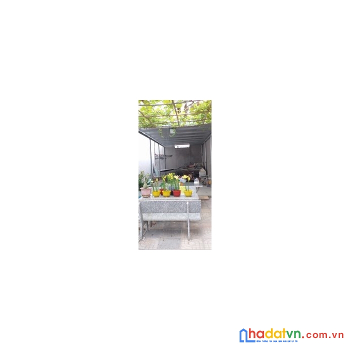 Chính chủ cần bán đất diện tích tại rộng tại vũng tàu