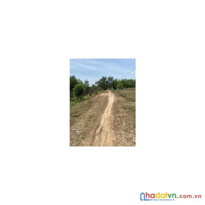 Cần bán lô đất vị trí đẹp tại huyện châu thành- tỉnh tây ninh