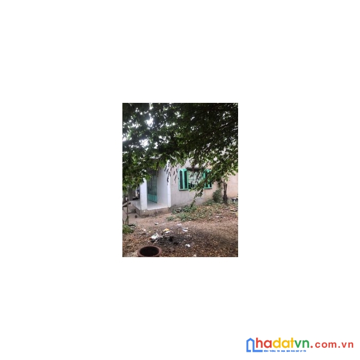 Chính chủ cần bán 530m² đất và nhà. trên đất có 2 căn nhà một cấp 4 và một căn nhà lớn 1 tấm như