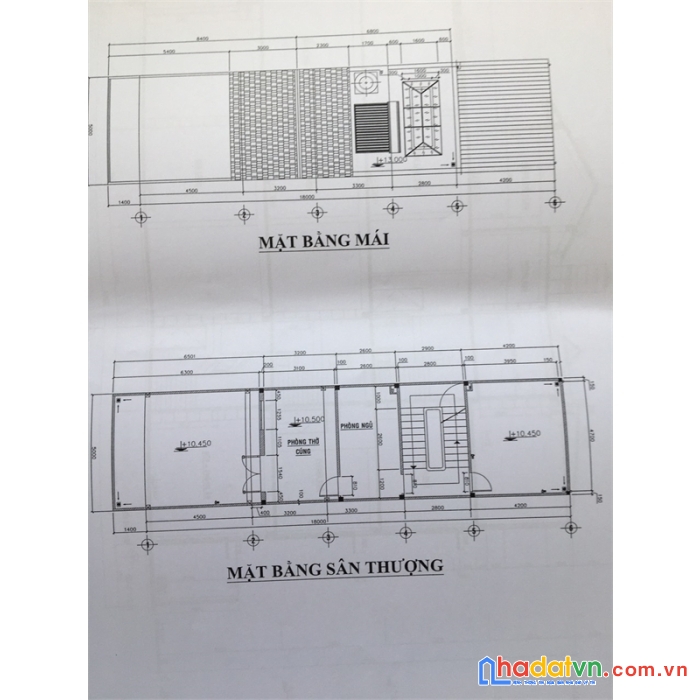 Nguyên căn vũ tông phan, quận 2