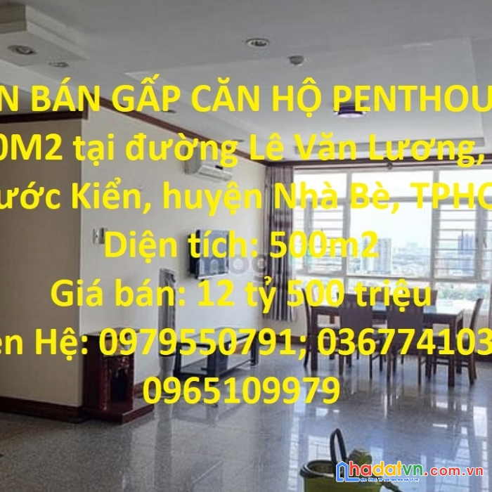 Cần bán gấp căn hộ penthouse 500m2 tại huyện nhà bè, tphcm