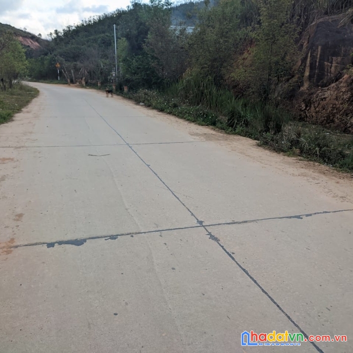 ( gấp quá rồi ) giảm giá chỉ còn 2.5 tỷ - sở hữu ngay lô đất view đẹp tại đa nhim, lạc dương 5200m2