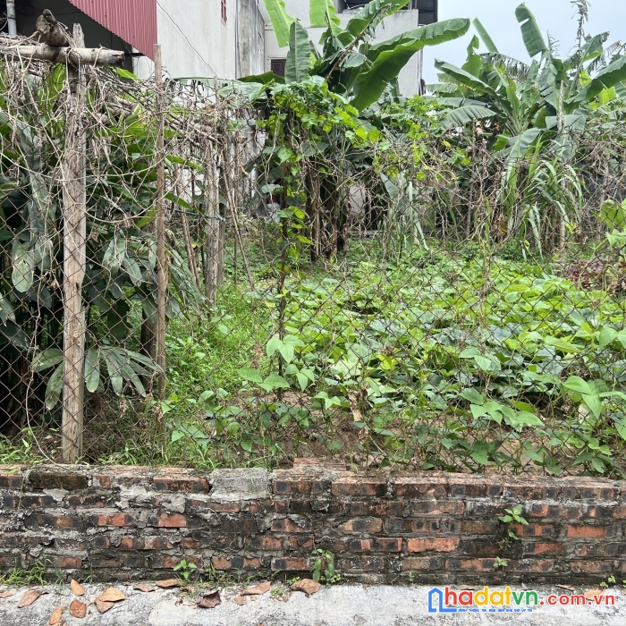 Đất nguyên khê giá chưa đến 2 tỷ ô tô con đỗ cửa 95m.mt 4.5m vuông vắn