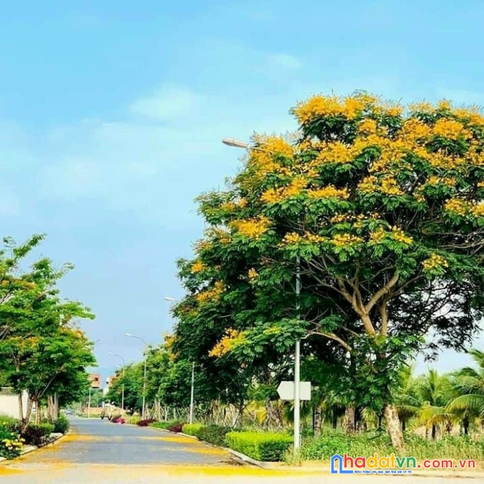 Bán lô đất biệt thự 216m2 fpt city đà nẵng