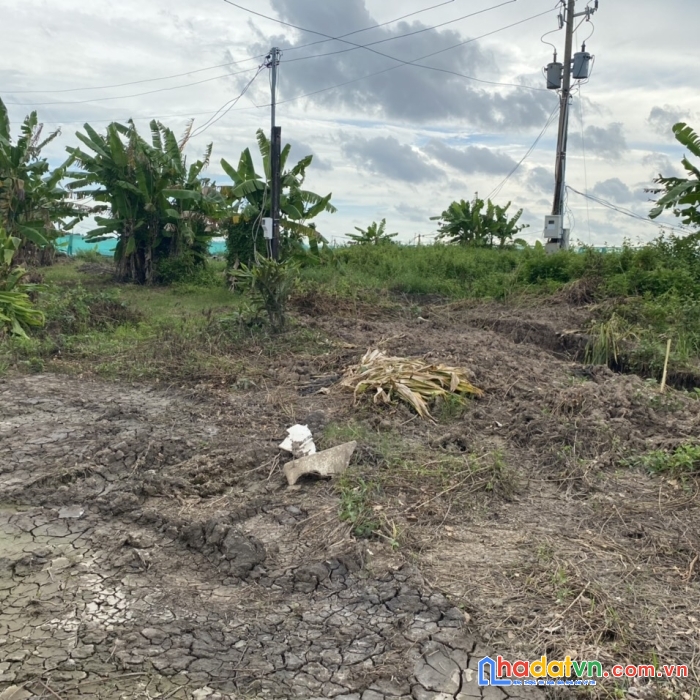 Sở hữu ngay lô đất đẹp tại tp cà mau